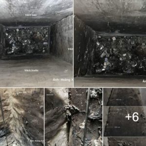 Dong Tam Case: Untold behind the „iron curtain“