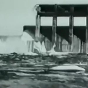 Putin đã trở thành ‚Stalin nhỏ‘ như thế nào khi sử dụng các chiến thuật tàn bạo của Liên Xô từ việc cho nổ tung con đập đến đưa người của mình đến lò sát sinh