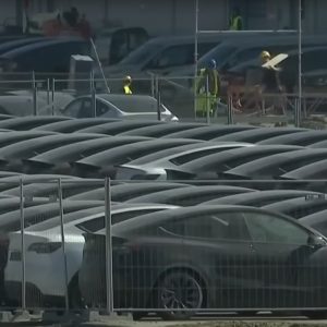 „Tại sao Tesla lại tệ đến vậy? Bởi vì đối thủ cạnh tranh tốt hơn.“