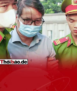 Trợ lý ăn vụng, sếp ăn cả mâm?