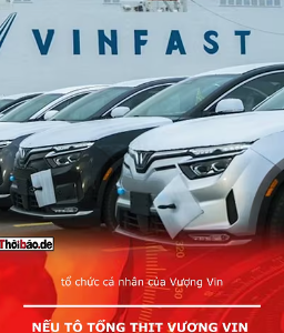 Nếu Tô Tổng thịt Vượng Vin thì có phim hay để xem?