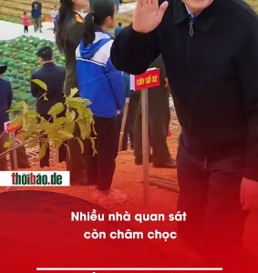 VAI TRÒ CỦA LƯƠNG CƯỜNG LÀ GÌ TRONG THỜI ĐẠI CỦA TÔ TỔNG?