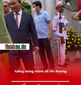 CUỐNG MŨI AN TOÀN