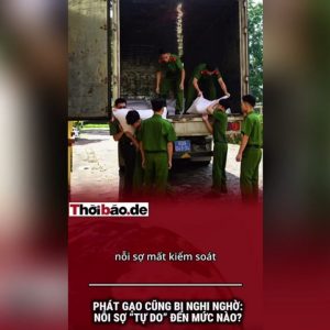 PHÁT GẠO CŨNG BỊ NGHI NGỜ: NỖI SỢ “TỰ DO” ĐẾN MỨC NÀO?