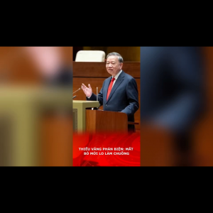 THIẾU VẮNG PHẢN BIỆN: MẤT BÒ MỚI LO LÀM CHUỒNG