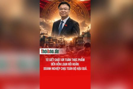 Từ siết chặt an toàn thực phẩm đến hỗn loạn rồi hoãn: Doanh nghiệp chịu toàn bộ hậu quả.