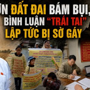 Đơn đất đai bám bụi, bình luận „trái tai“ lập tức bị sờ gáy